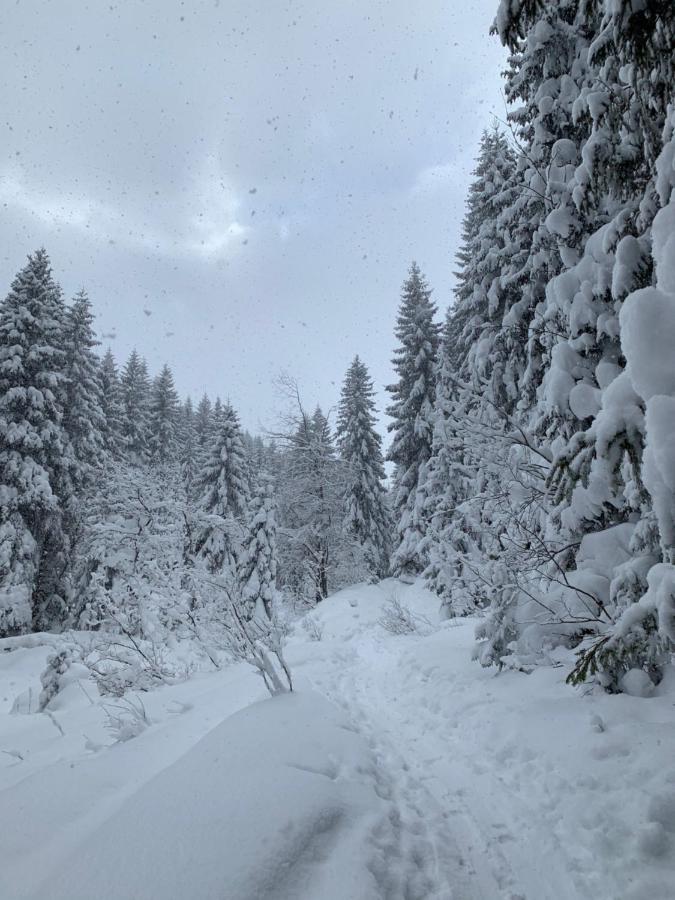 Challet Jasná Exclusive **** Demänovská Dolina Esterno foto