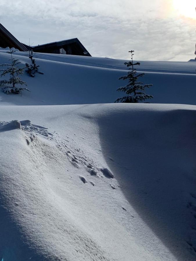 Challet Jasná Exclusive **** Demänovská Dolina Esterno foto